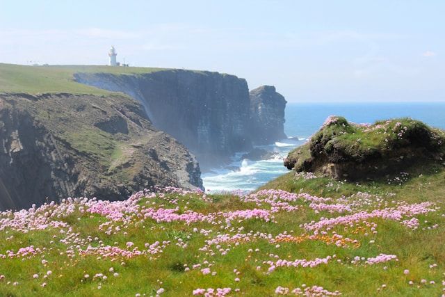 ireland.jpg